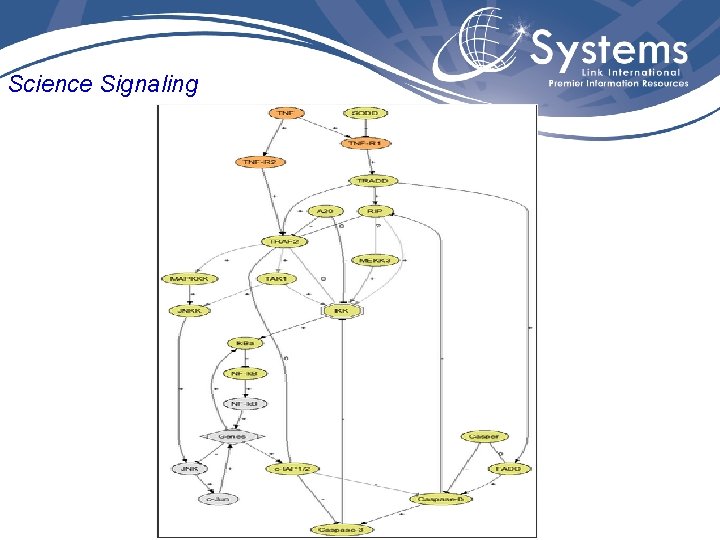 Science Signaling 