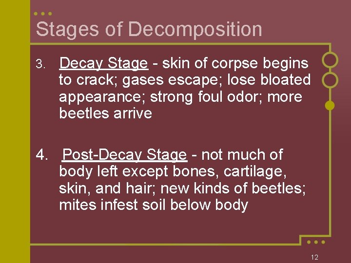Stages of Decomposition 3. Decay Stage - skin of corpse begins to crack; gases
