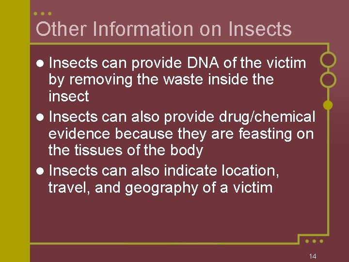 Other Information on Insects l Insects can provide DNA of the victim by removing