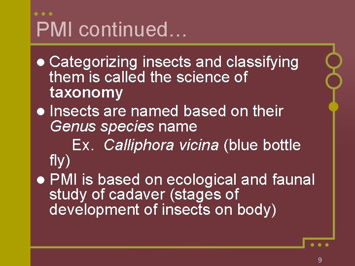 PMI continued… l Categorizing insects and classifying them is called the science of taxonomy