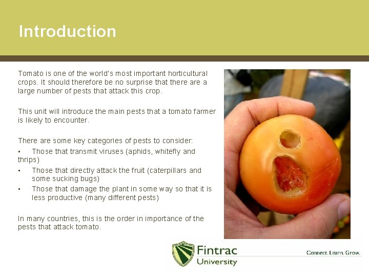 Introduction Tomato is one of the world’s most important horticultural crops. It should therefore