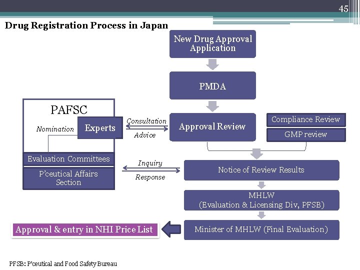 45 Drug Registration Process in Japan New Drug Approval Application PMDA PAFSC Nomination Experts