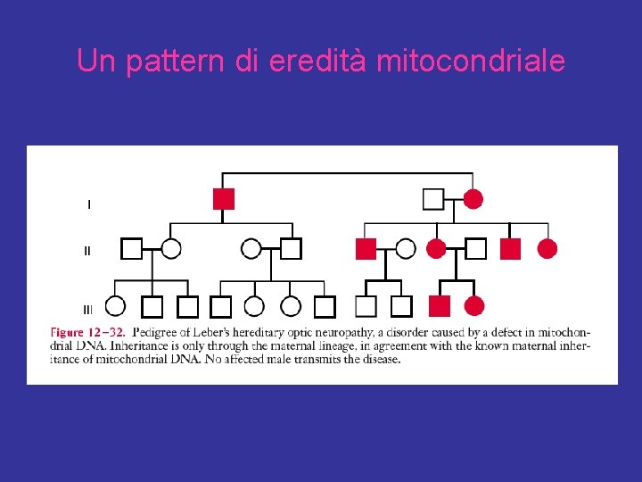 Un pattern di eredità mitocondriale 