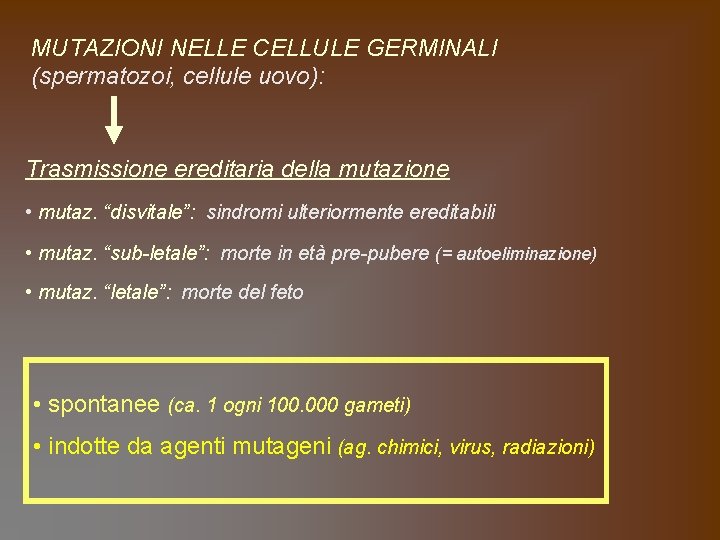 MUTAZIONI NELLE CELLULE GERMINALI (spermatozoi, cellule uovo): Trasmissione ereditaria della mutazione • mutaz. “disvitale”: