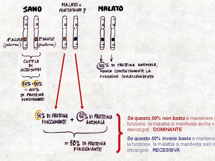 Se questo 50% non basta a mantenere l funzione, la malattia si manifesta anche