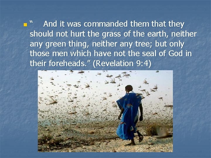 n “ And it was commanded them that they should not hurt the grass