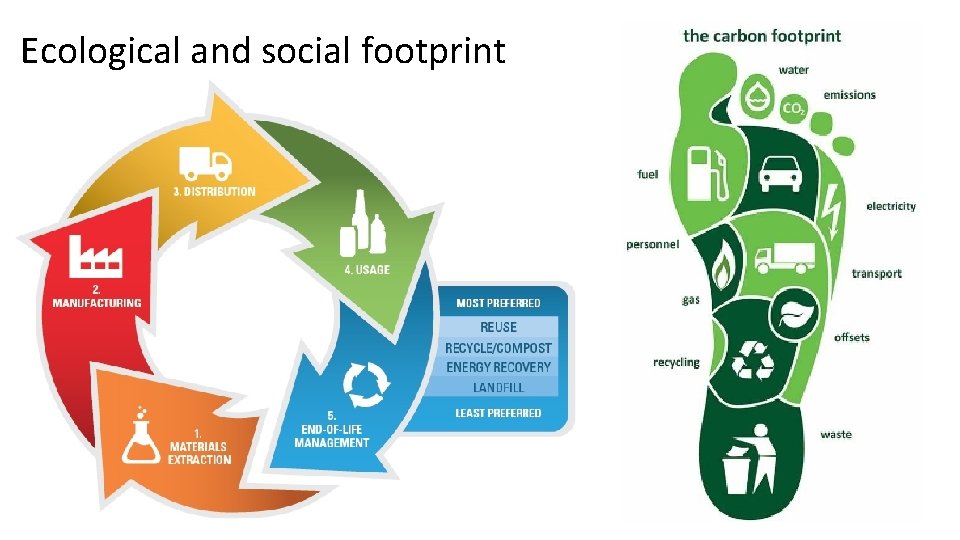 Ecological and social footprint 