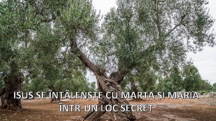 ISUS SE ÎNT LENȘTE CU MARTA ȘI MARIA ÎNTR-UN LOC SECRET 