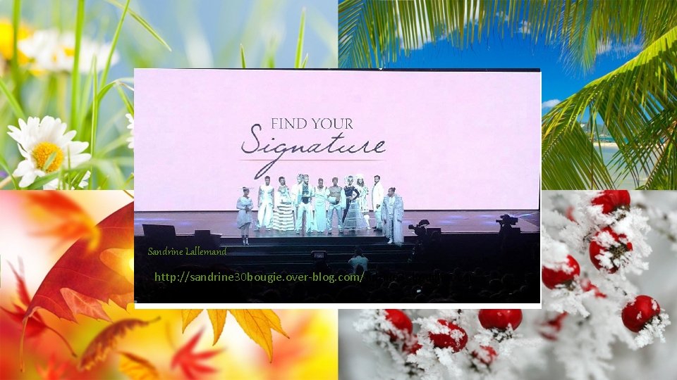 DISPOSITION DIAPOSITIVE DE TITRE Sandrine Lallemand Sous-titre http: //sandrine 30 bougie. over-blog. com/ndrine 30