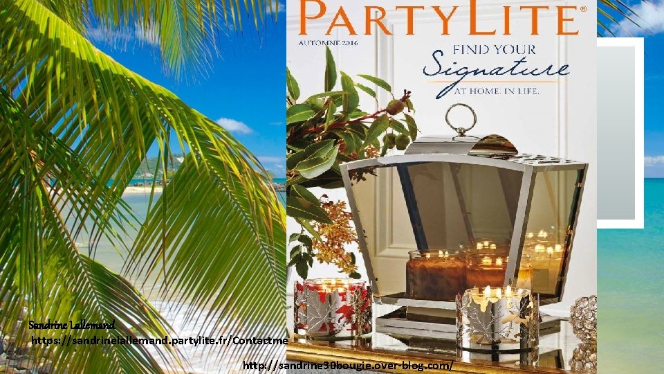 DISPOSITION TITRE DE SECTION ÉTÉ Sous-titre Sandrine Lallemand https: //sandrinelallemand. partylite. fr/Contactme http: //sandrine