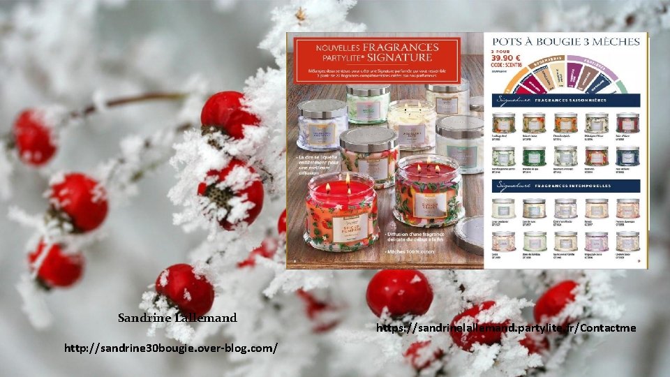 DISPOSITION TITRE DE SECTION HIVER Sous-titre Sandrine Lallemand http: //sandrine 30 bougie. over-blog. com/