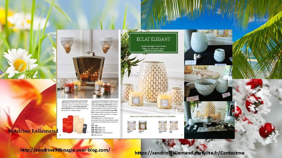 Sandrine Lallemand http: //sandrine 30 bougie. over-blog. com/ https: //sandrinelallemand. partylite. fr/Contactme 