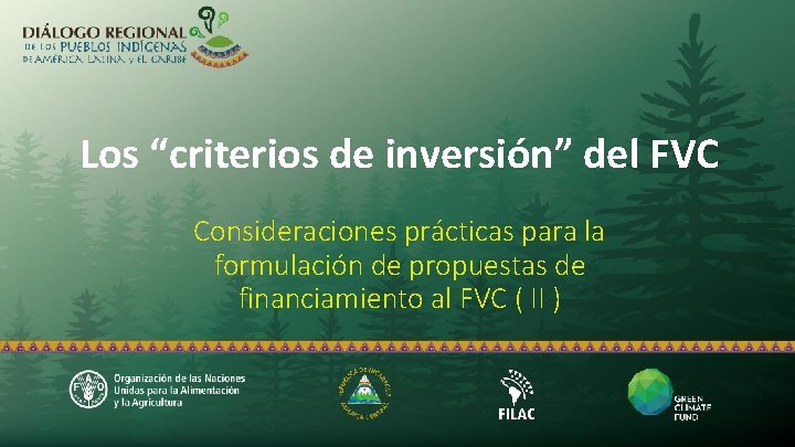 Los “criterios de inversión” del FVC Consideraciones prácticas para la formulación de propuestas de