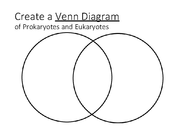 Create a Venn Diagram of Prokaryotes and Eukaryotes 