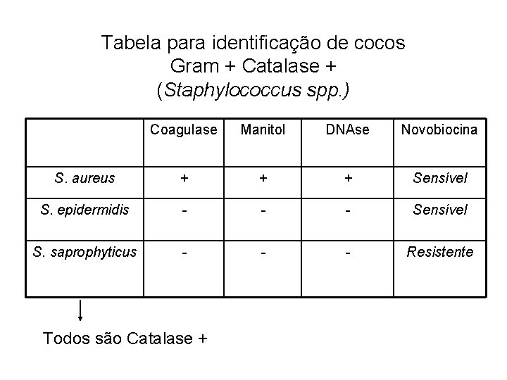 Tabela para identificação de cocos Gram + Catalase + (Staphylococcus spp. ) Coagulase Manitol