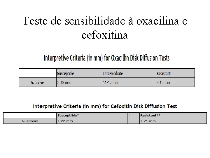 Teste de sensibilidade à oxacilina e cefoxitina 