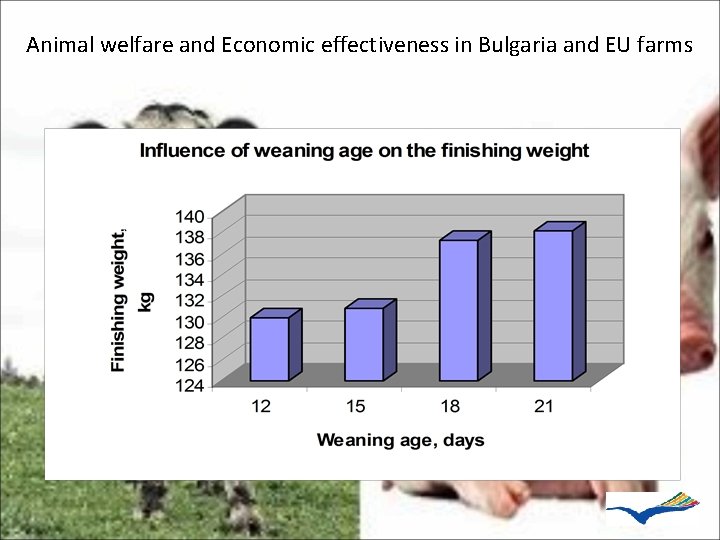 Animal welfare and Economic effectiveness in Bulgaria and EU farms 