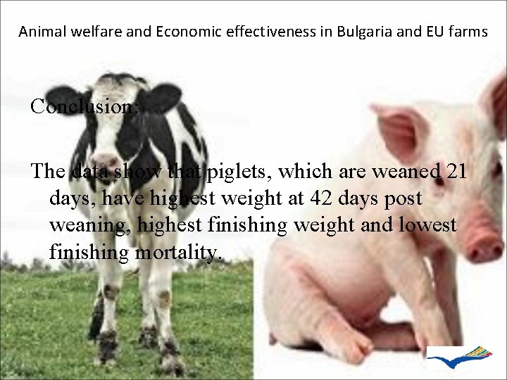 Animal welfare and Economic effectiveness in Bulgaria and EU farms Conclusion: The data show