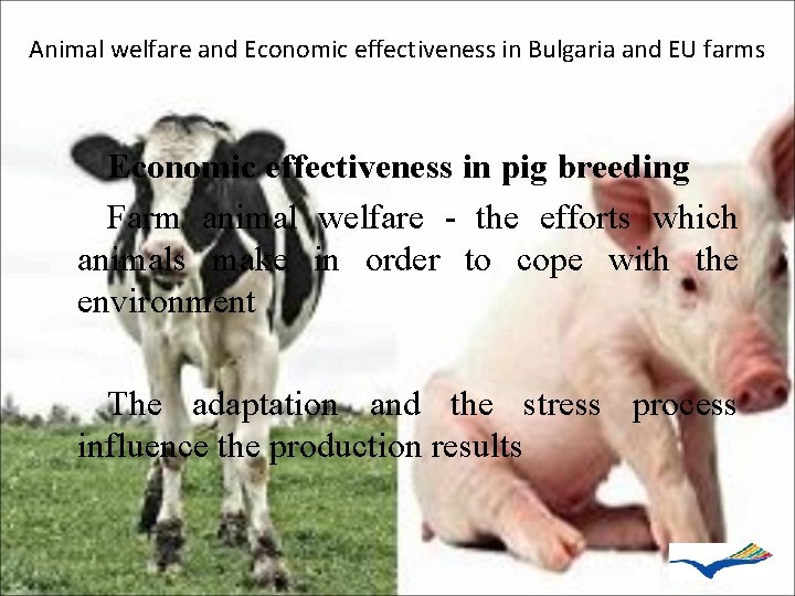Animal welfare and Economic effectiveness in Bulgaria and EU farms Economic effectiveness in pig
