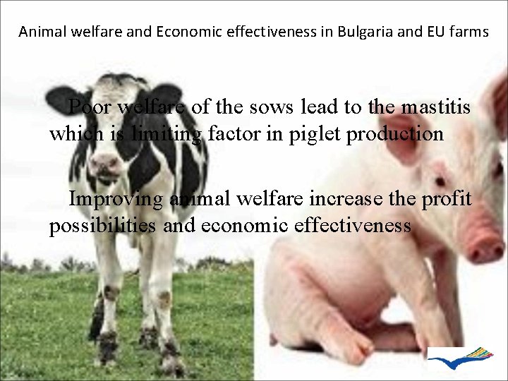 Animal welfare and Economic effectiveness in Bulgaria and EU farms Poor welfare of the