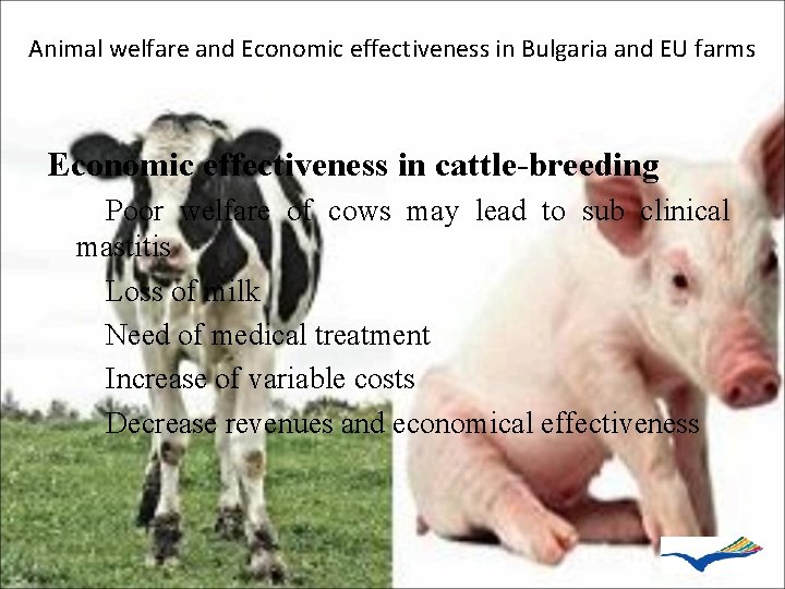 Animal welfare and Economic effectiveness in Bulgaria and EU farms Economic effectiveness in cattle-breeding