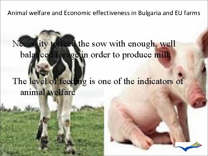 Animal welfare and Economic effectiveness in Bulgaria and EU farms Necessity to feed the