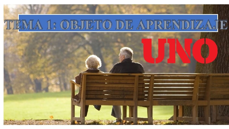 TEMA 1: OBJETO DE APRENDIZAJE 