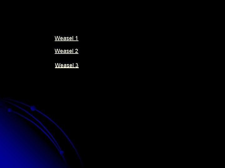 Weasel 1 Weasel 2 Weasel 3 