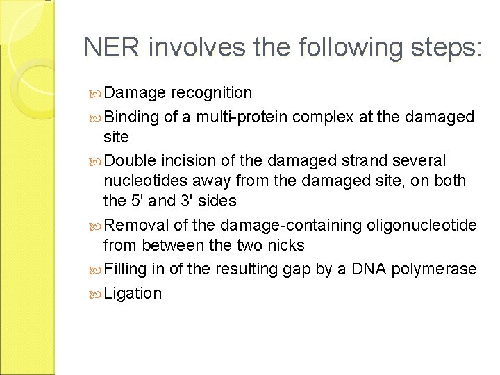 NER involves the following steps: Damage recognition Binding of a multi-protein complex at the