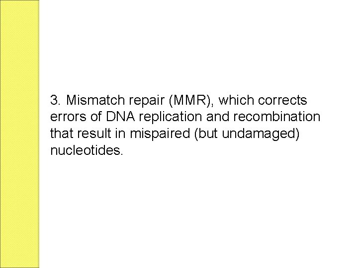 3. Mismatch repair (MMR), which corrects errors of DNA replication and recombination that result