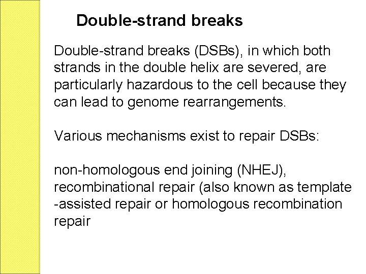 Double-strand breaks (DSBs), in which both strands in the double helix are severed, are