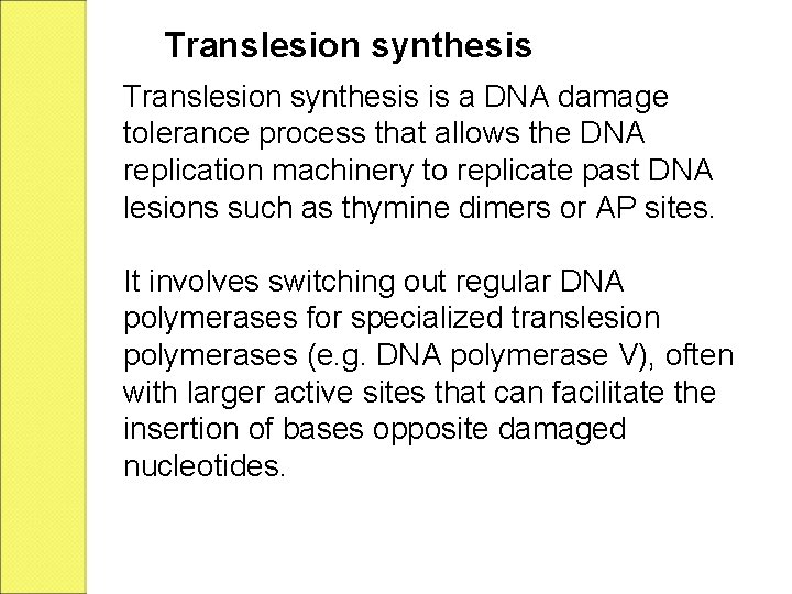 Translesion synthesis is a DNA damage tolerance process that allows the DNA replication machinery