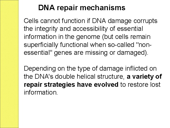 DNA repair mechanisms Cells cannot function if DNA damage corrupts the integrity and accessibility