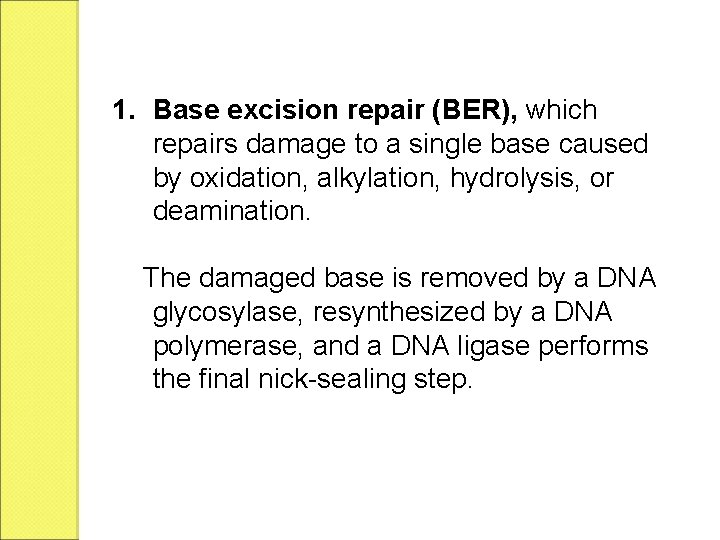 1. Base excision repair (BER), which repairs damage to a single base caused by