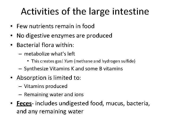 Activities of the large intestine • Few nutrients remain in food • No digestive