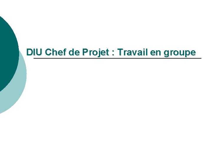 DIU Chef de Projet : Travail en groupe 