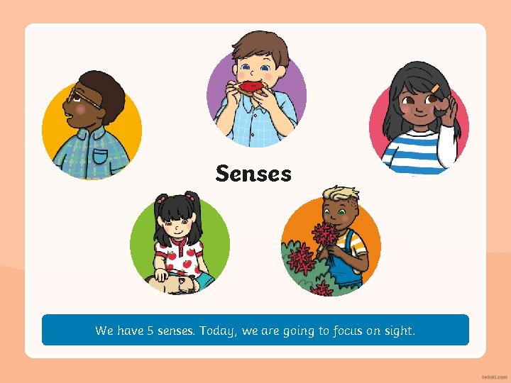 Senses We have 5 senses. Today, we are going to focus on sight. 