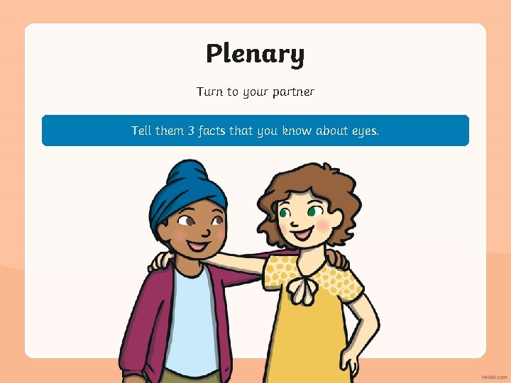 Plenary Turn to your partner Tell them 3 facts that you know about eyes.