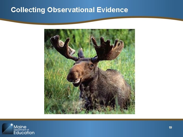 Collecting Observational Evidence 19 