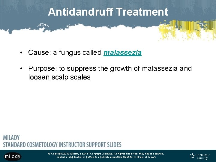 Antidandruff Treatment • Cause: a fungus called malassezia • Purpose: to suppress the growth