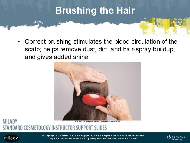 Brushing the Hair • Correct brushing stimulates the blood circulation of the scalp; helps