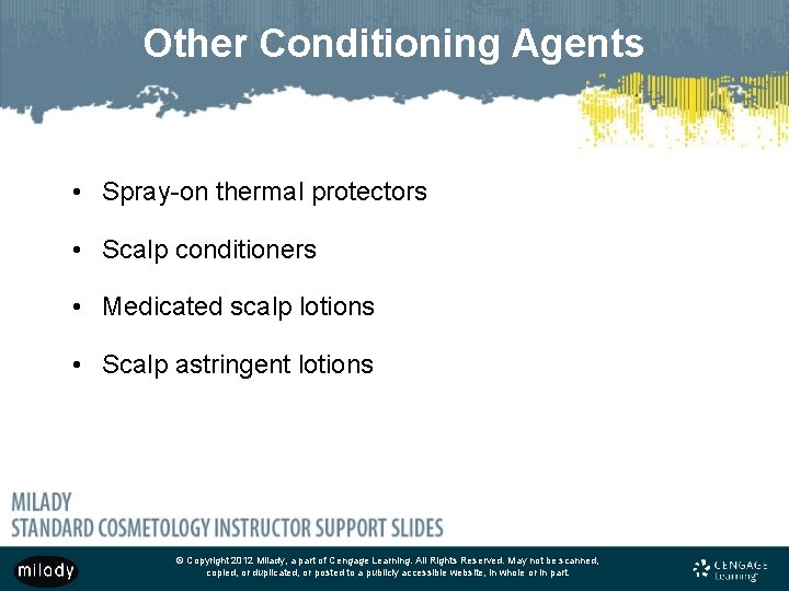 Other Conditioning Agents • Spray-on thermal protectors • Scalp conditioners • Medicated scalp lotions
