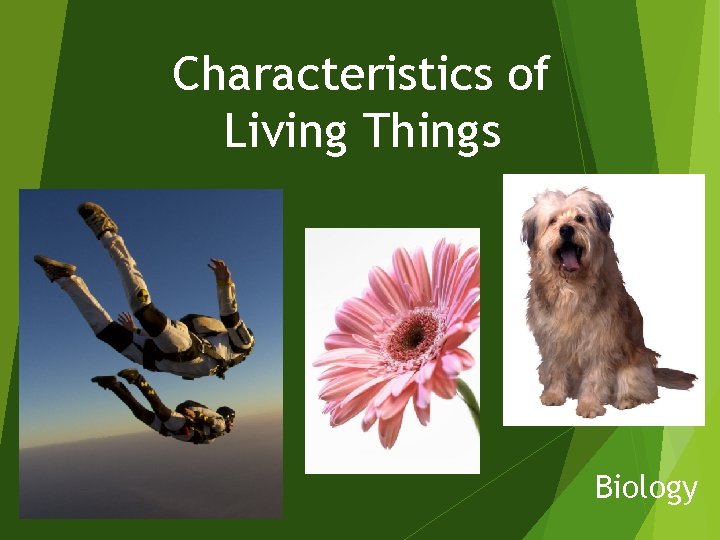 Characteristics of Living Things Biology 