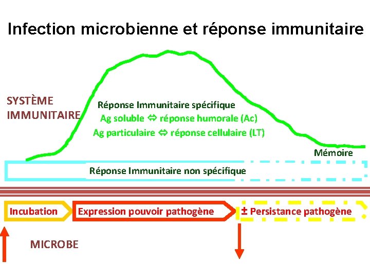 Infection microbienne et réponse immunitaire SYSTÈME IMMUNITAIRE Réponse Immunitaire spécifique Ag soluble réponse humorale
