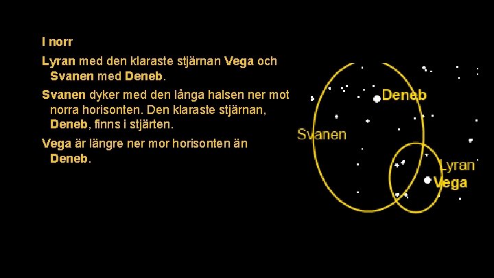 I norr Lyran med den klaraste stjärnan Vega och Svanen med Deneb. Svanen dyker