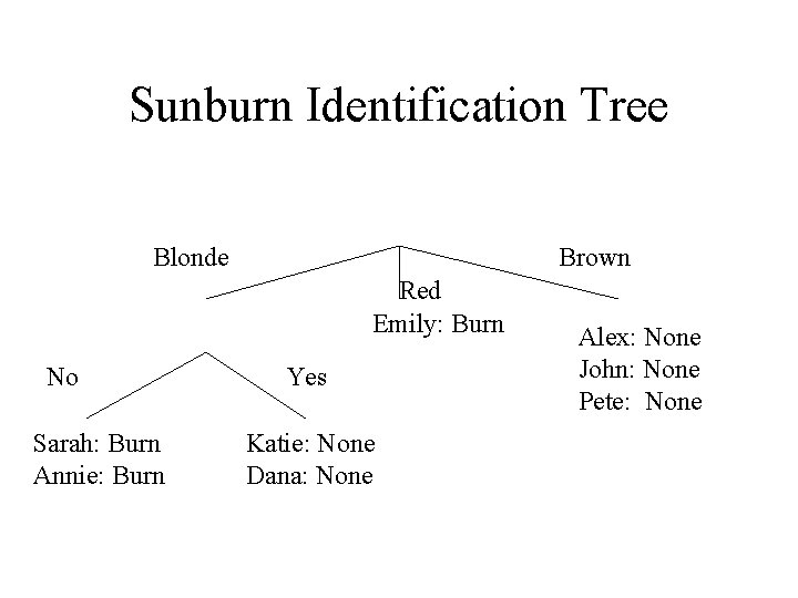Sunburn Identification Tree Blonde Brown Red Emily: Burn No Sarah: Burn Annie: Burn Yes