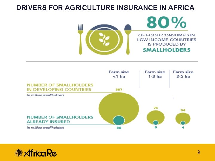 DRIVERS FOR AGRICULTURE INSURANCE IN AFRICA 9 