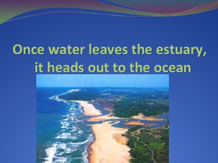 Once water leaves the estuary, it heads out to the ocean 