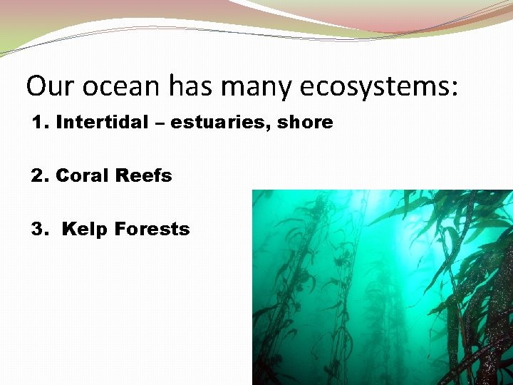 Our ocean has many ecosystems: 1. Intertidal – estuaries, shore 2. Coral Reefs 3.
