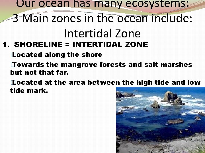 Our ocean has many ecosystems: 3 Main zones in the ocean include: Intertidal Zone